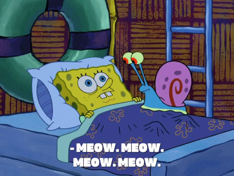 season 8 episode 22 GIF by SpongeBob SquarePants