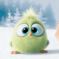 hatchlings GIF by Angry Birds
