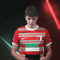 Bundesliga Belgium GIF by FC Augsburg 1907