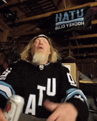 Hockey Nhl GIF