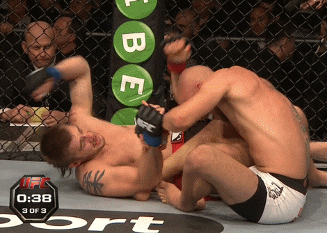 fighting GIF