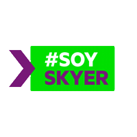 seleccionsky skyairline sky airline Sticker