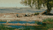 Los Angeles Film GIF by Local Natives