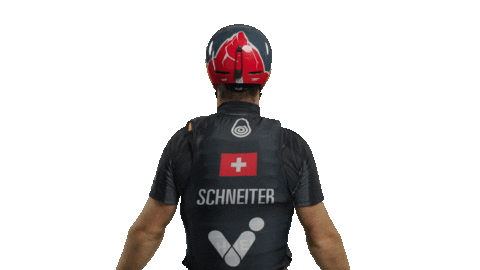 Team Switzerland Sticker by SailGP
