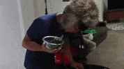 Coffee Beans GIF by Guava Juice