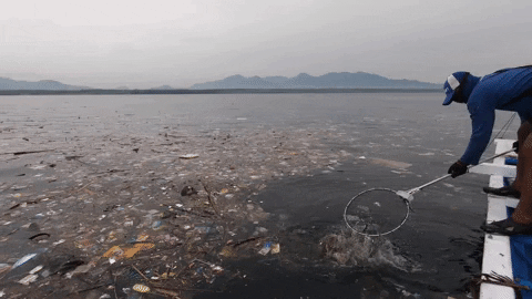 Earth Day GIF by 4ocean