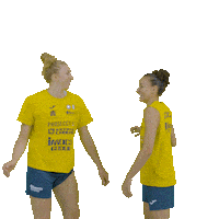 Volleyball Cheering Sticker by Lega Pallavolo Serie A Femminile