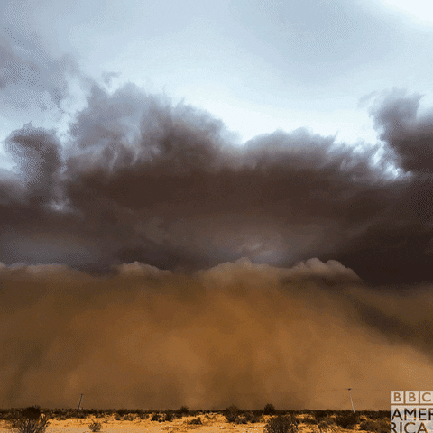 United States Weather GIF by BBC America