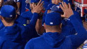 Blue Jays Baseball GIF by Toronto Blue Jays