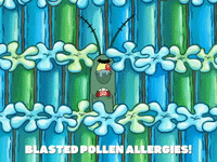 season 8 restraining spongebob GIF by SpongeBob SquarePants