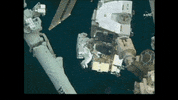 astronauts spacestation GIF by NASA