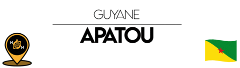 Guyane Sticker by NoirNomads