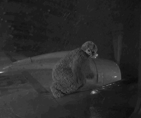 Season 5 Abandon Thread GIF by Paramount+