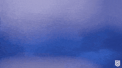 Overwatch Reaction GIF by Boston Uprising