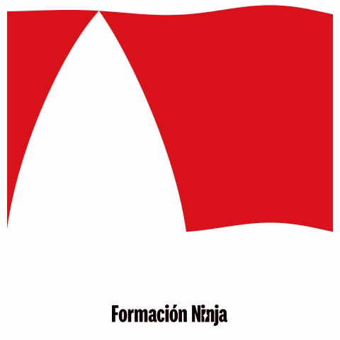 Flag Spain GIF by Formación Ninja
