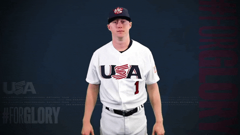 Pro GIF by USA Baseball