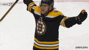 Ice Hockey Sport GIF by NHL