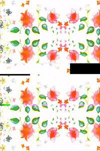 everydayforeverybody  GIF