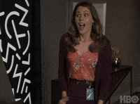 Monica I Dont Know GIF by Silicon Valley