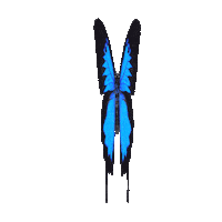 illumiinaani blue nature butterfly bug Sticker