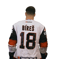 Hokej Sticker by HC '05 Banská Bystrica