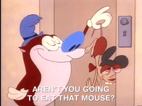 ren and stimpy nicksplat GIF