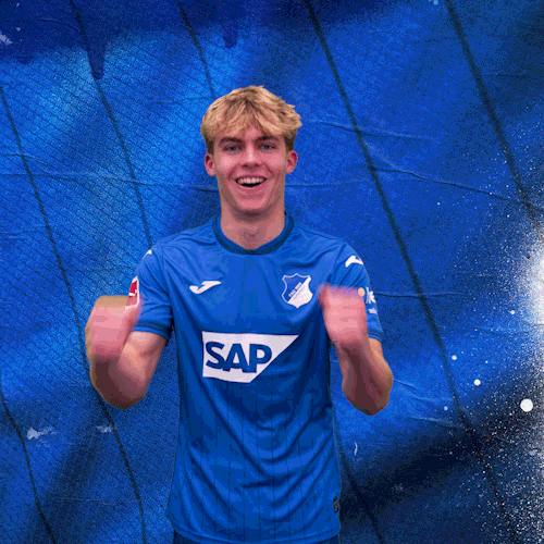 Sport Bundesliga GIF by TSG Hoffenheim
