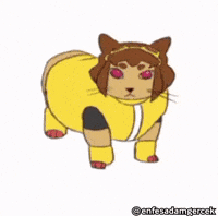 Cat Dancing GIF