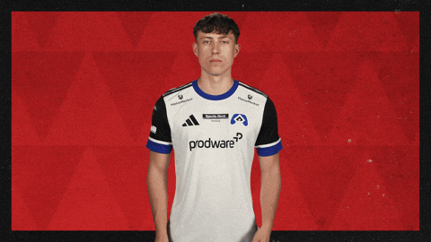 Hamburger Sv Applause GIF by Bundesliga