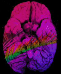 youngnada eye trippy glitch GIF