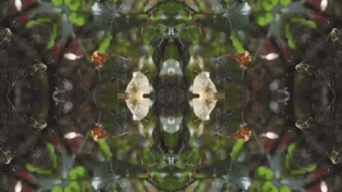Art Love GIF by jorgemariozuleta