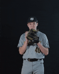Baseball Ball GIF by Purdue Fort Wayne Athletics