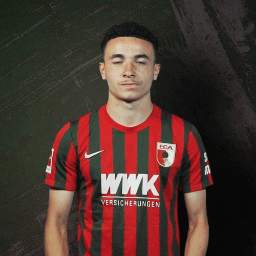 Bundesliga No GIF by FC Augsburg 1907