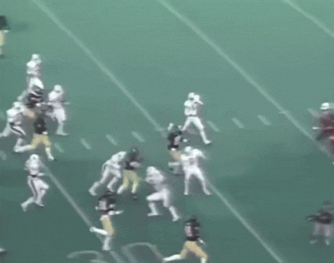 RabidDawgClassic oh the band is out on the field cal stanford the play GIF