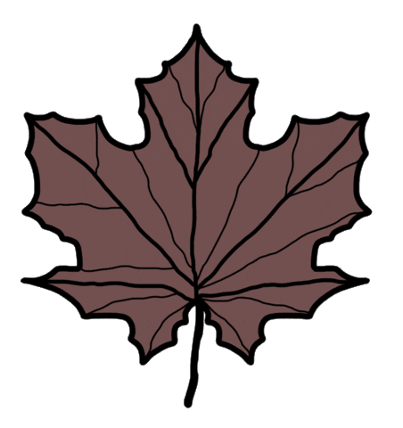 Fall Orange Sticker by chiara