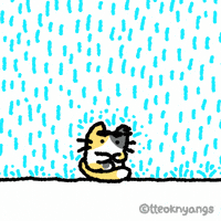 Sad Cat GIF