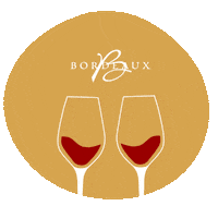 Red Wine Cheers Sticker by Vins de Bordeaux