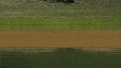 drifting wait for it GIF by Top Gear