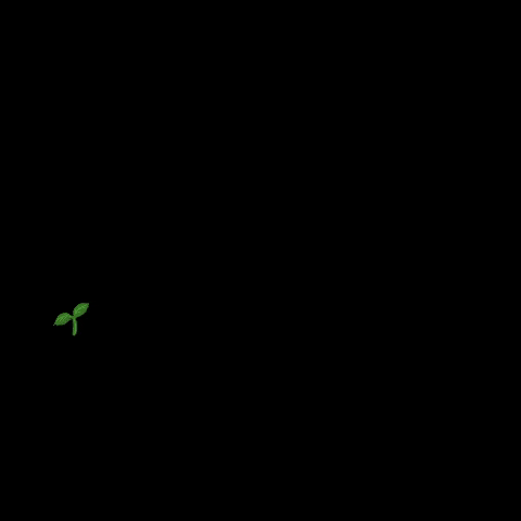 hortonaturaoficial giphygifmaker giphyattribution hortonatura GIF