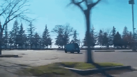 Sansuste giphygifmaker GIF