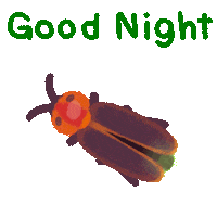 Shining Good Night Sticker by pikaole