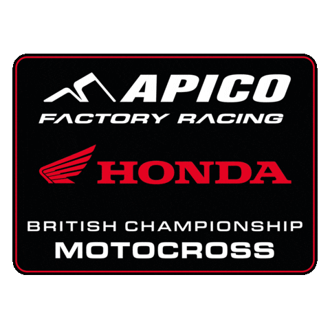 Honda Racing Sticker by ApicoFactoryRacing