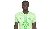 Wo Look Around Sticker by VfL Wolfsburg