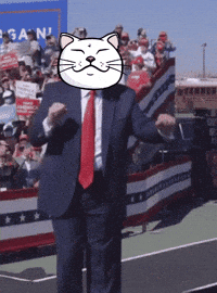 Dance Crypto GIF by ShiroNeko