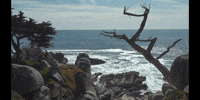 GIF by DIIMSA Stock