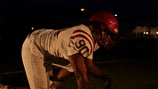 Sjfcfootball GIF by Fisher Athletics