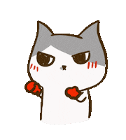 Fight Cats Sticker by yomoyeah