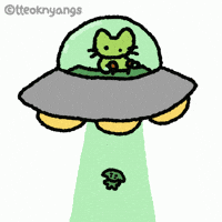 Cat Couple GIF