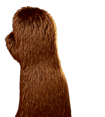 EDCASURF hi bye bear california Sticker