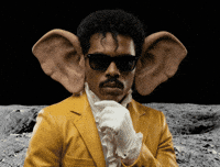 Listen Big Ears GIF by Jukebox Saints